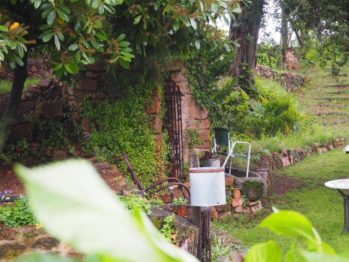 Mas Cal Sastre Guest House Sant Hilari Sacalm Ngoại thất bức ảnh